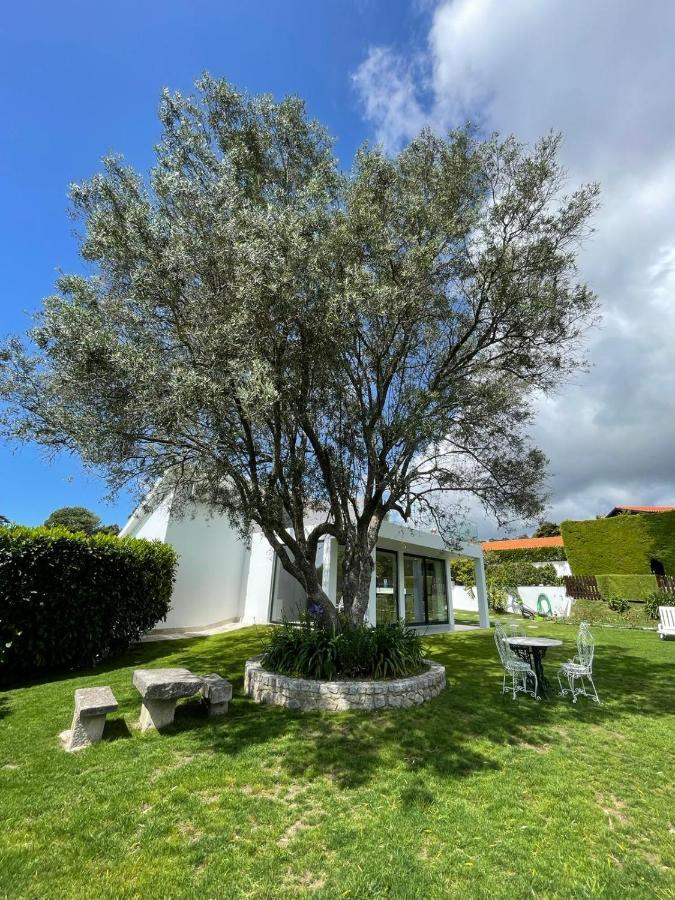 Fonte Do Forno Villas Afife Dış mekan fotoğraf