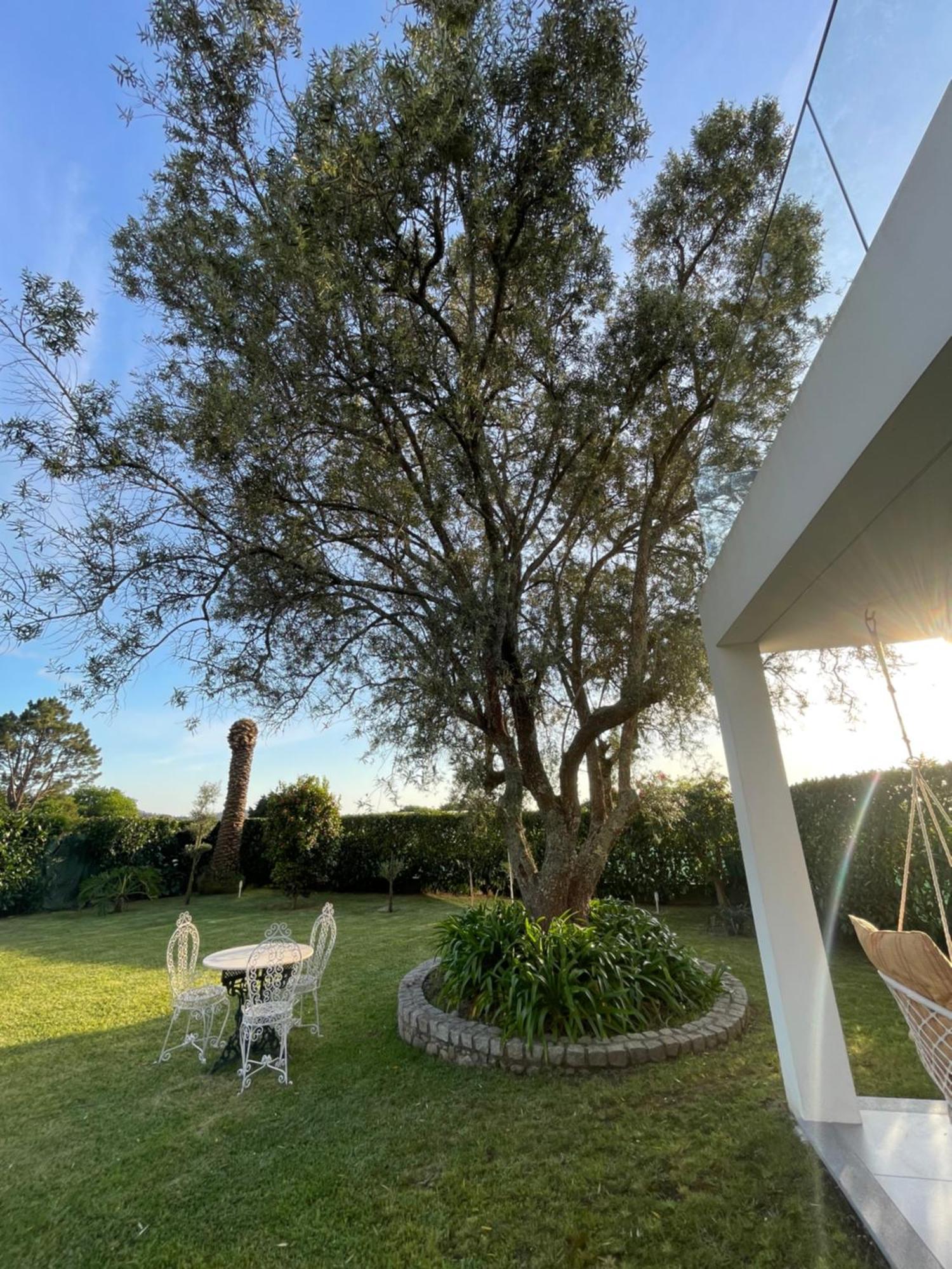 Fonte Do Forno Villas Afife Dış mekan fotoğraf